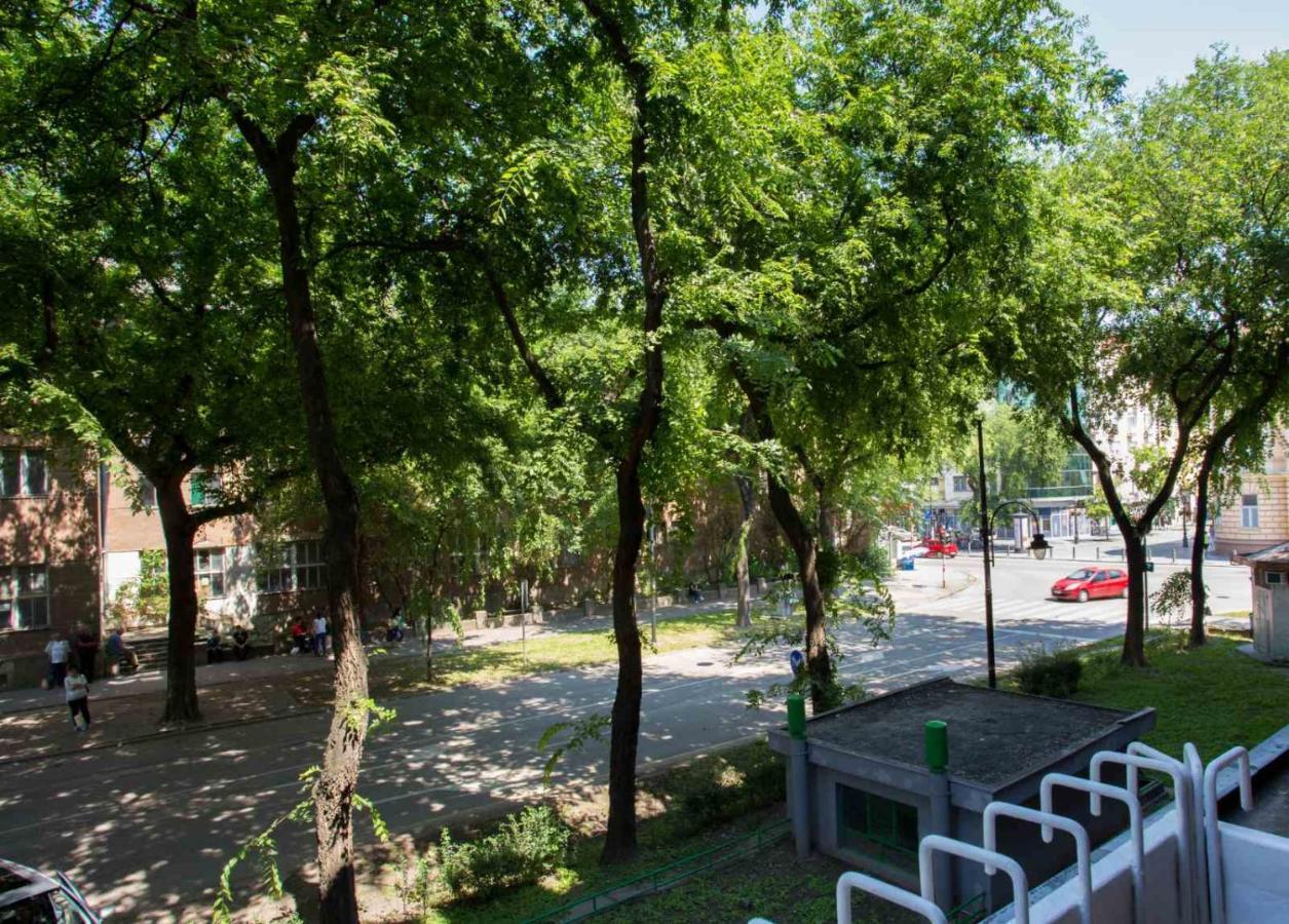 Apartman Petreš 松博尔 外观 照片