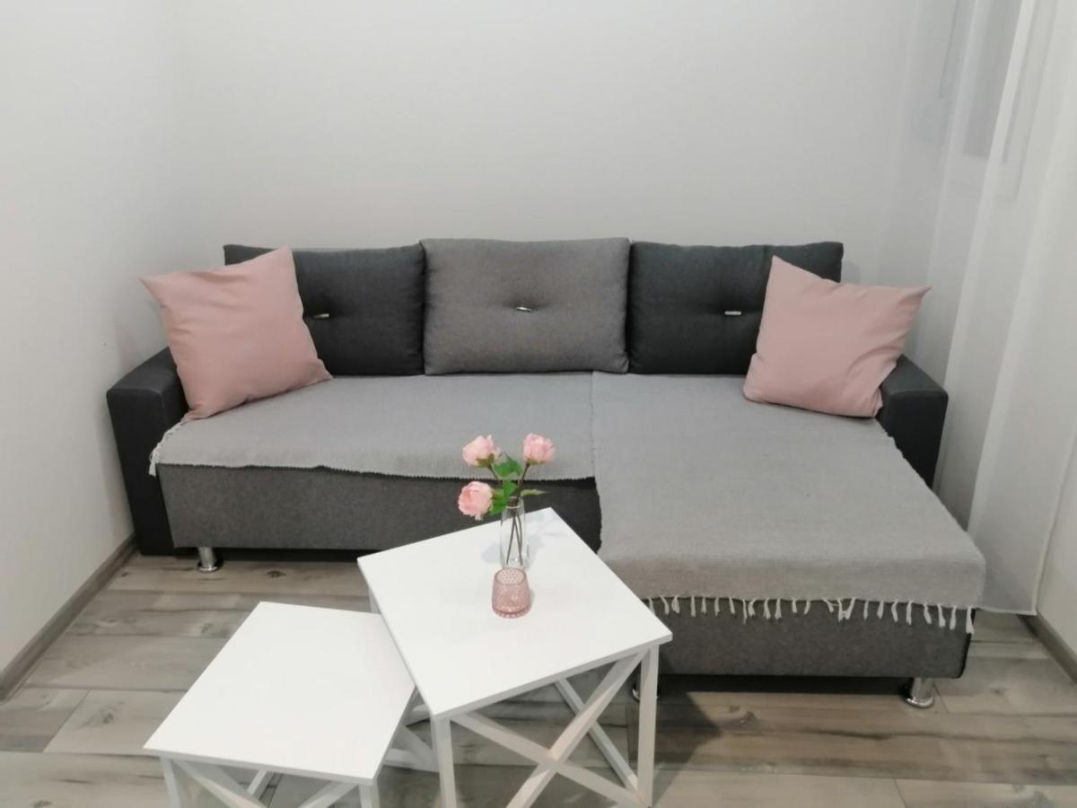 Apartman Petreš 松博尔 外观 照片