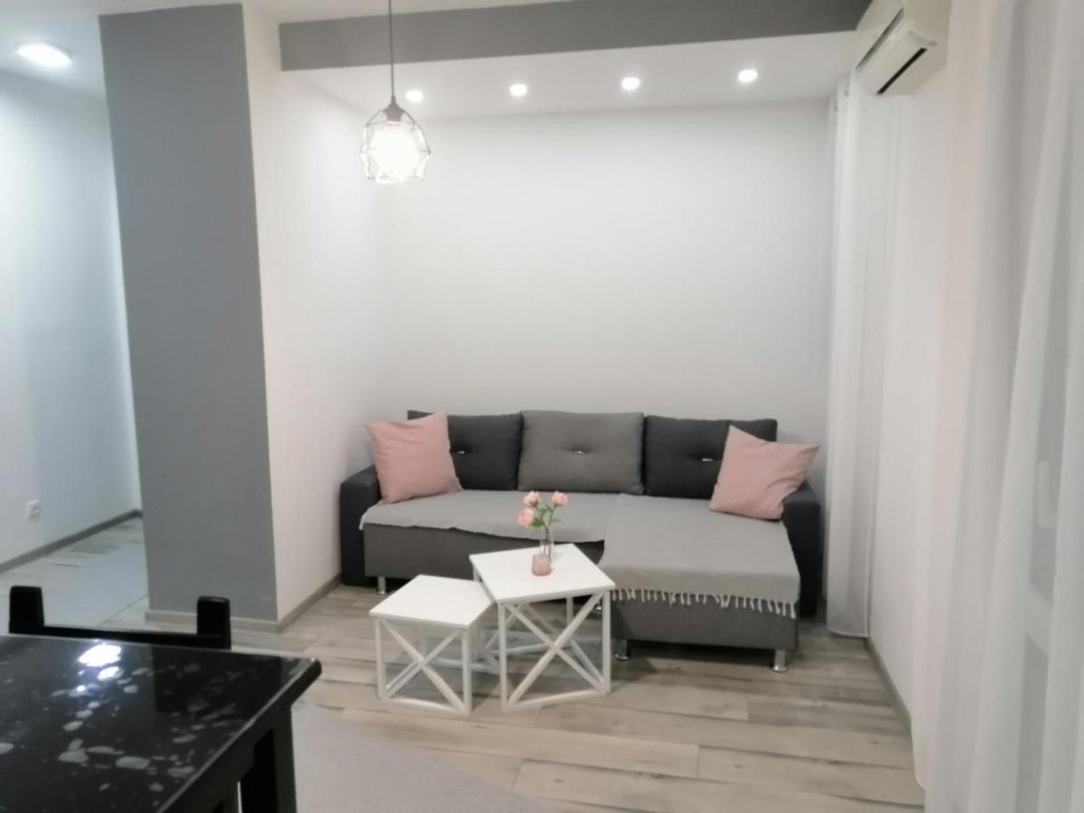 Apartman Petreš 松博尔 外观 照片