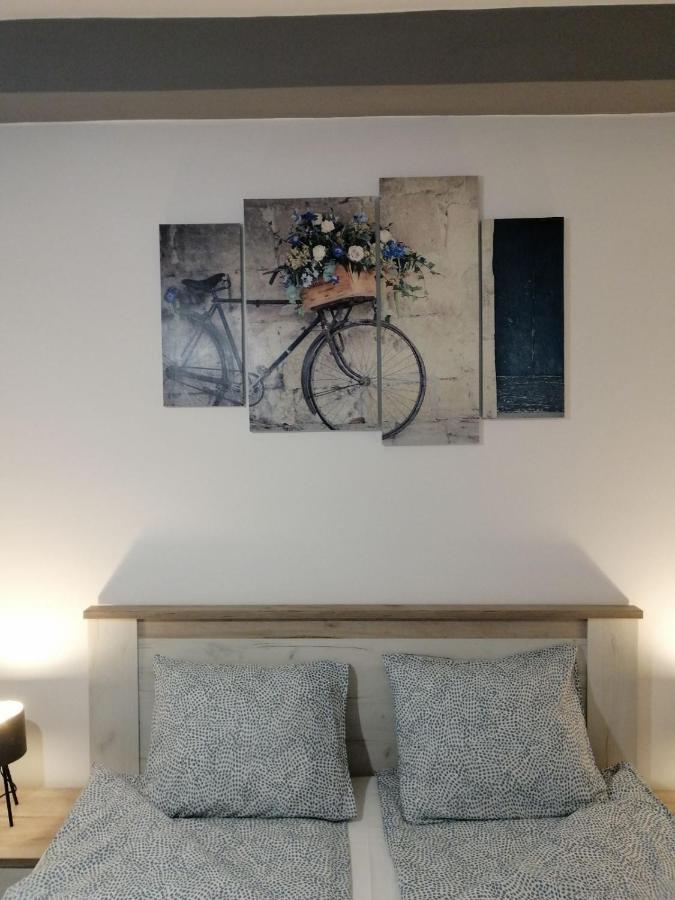 Apartman Petreš 松博尔 外观 照片