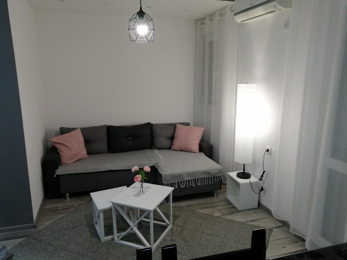 Apartman Petreš 松博尔 外观 照片